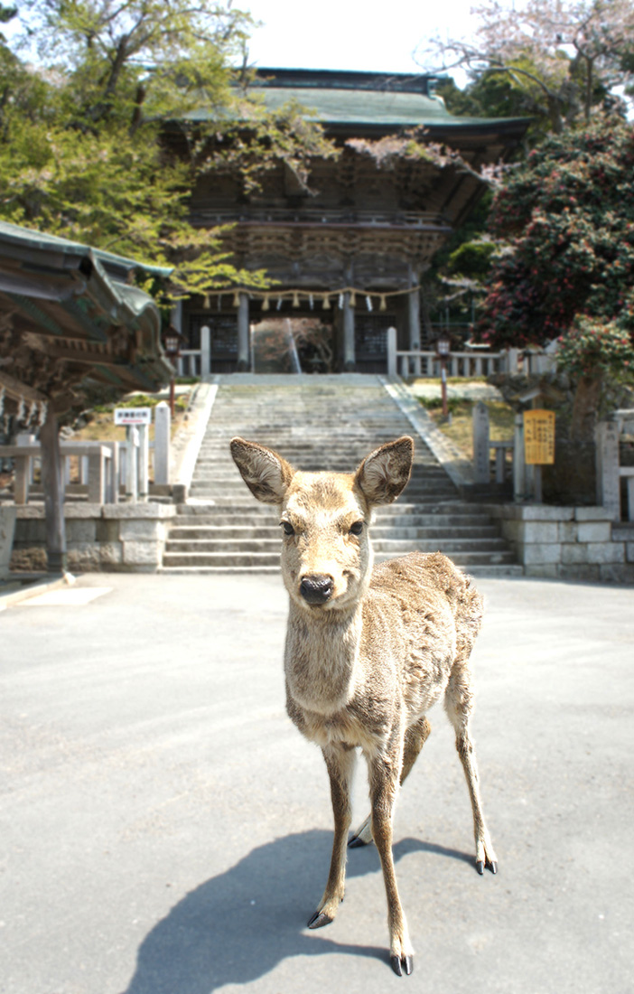 海鮮レストランなぎさ