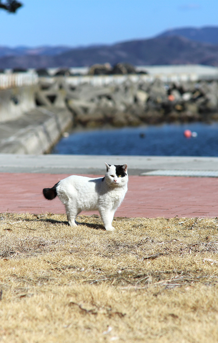 海鮮レストランなぎさ