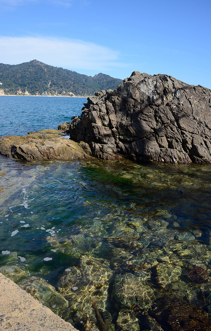 海鮮レストランなぎさ