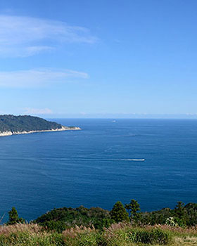 海鮮レストランなぎさ