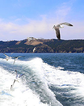 海鮮レストランなぎさ