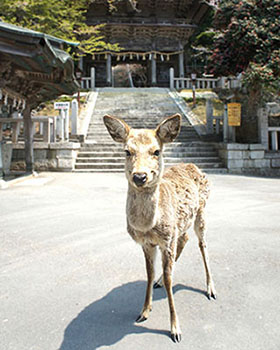 海鮮レストランなぎさ