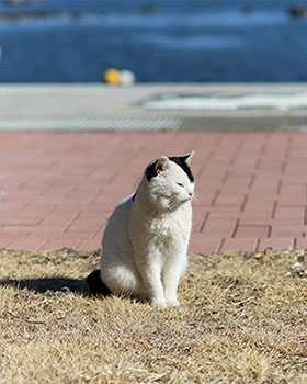 海鮮レストランなぎさ