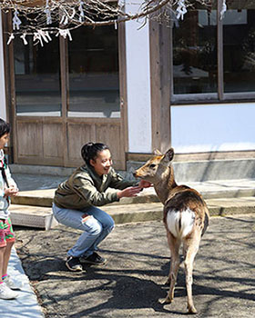 レストランなぎさ観光情報