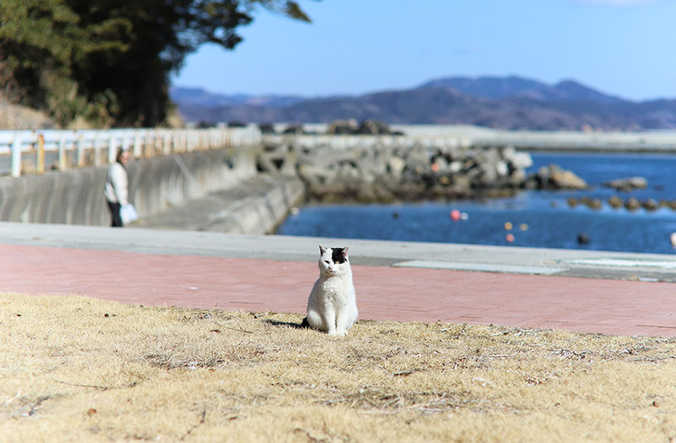 海鮮レストランなぎさ